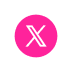 x icon